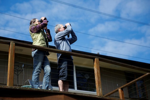 Birdwatching Soars Amid COVID-19 as Americans Head Outdoors