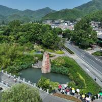 China's countryside revitalizes with broader market opportunities