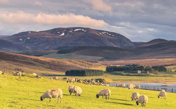 Scottish Government's four-tier post-Brexit support scheme plan 'lacks detail'