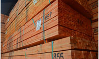 Speed of batten delivery overtakes cost as primary concern for merchants