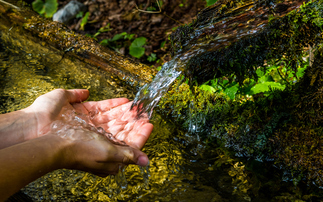 SBTN launches expanded freshwater targets 