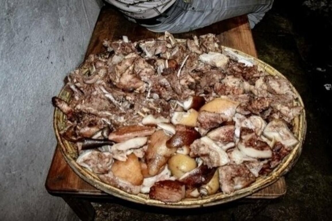 Watwat as a Symbol of Unity and Tradition in Igorot Culture