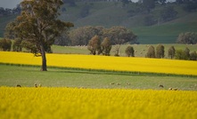  Regional Australia is the place to be, according to the NFF. Picture Mark Saunders