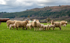 Changing climate demands new approach to parasite control