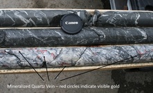 Visible gold in drill core from Moosehead