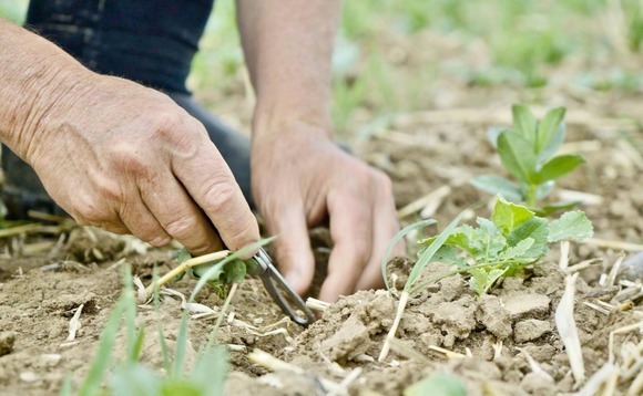 KKR exits Australia's GreenCollar to OTPP