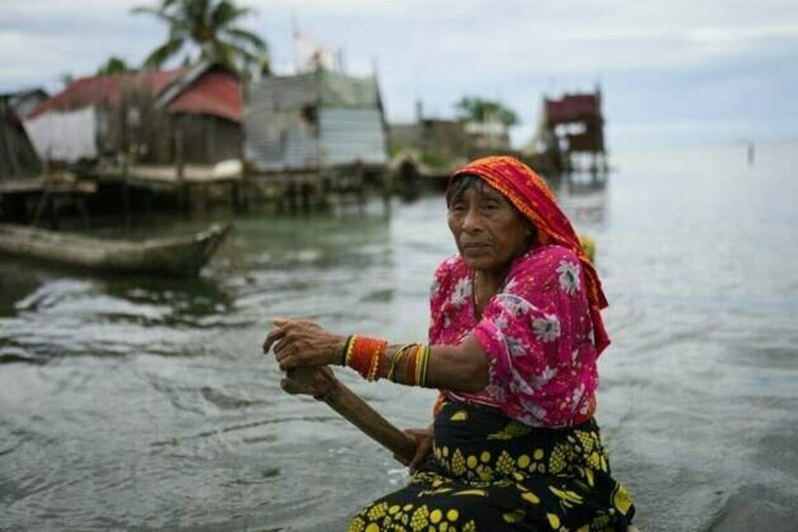 World Environment Day Spotlights Communities Fighting Climate Crisis