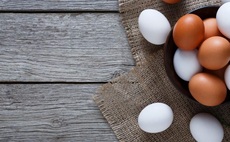 Recruitment drive for new entrants in egg sector