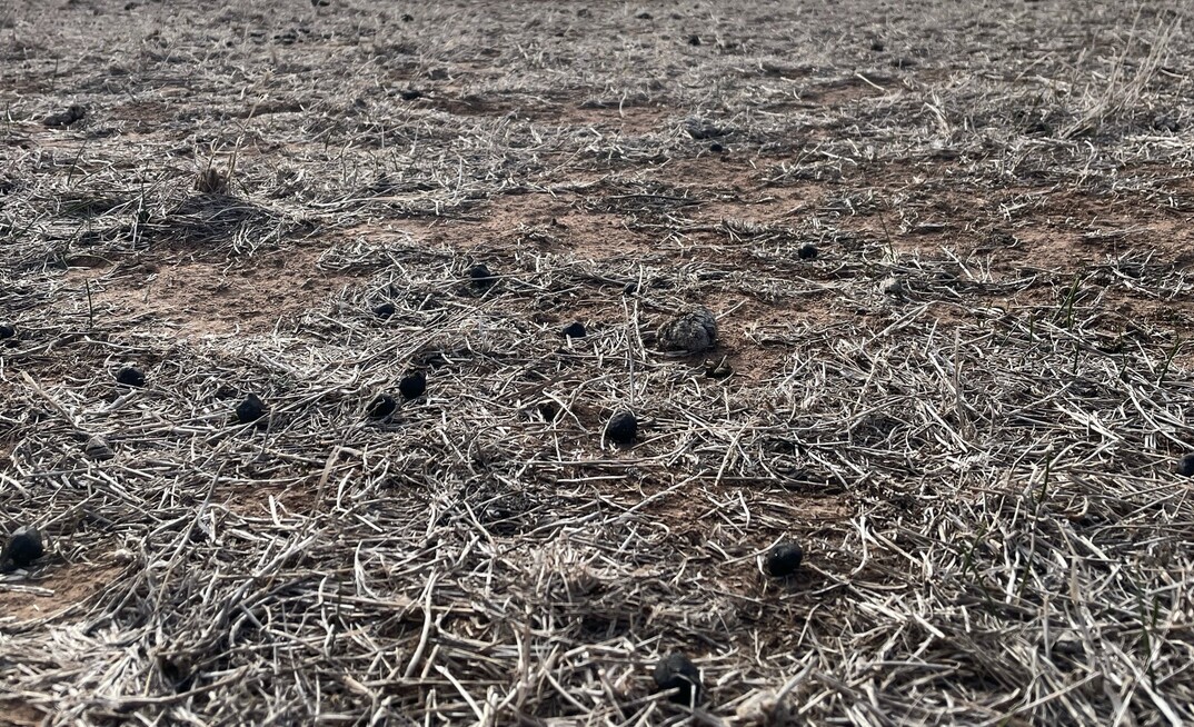The GRDC has announced a major project looking at soil health including standards of measurement.