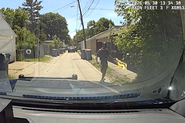 Bodycam shows man throw lit Molotov cocktail on Grand Rapids cruiser, stab K-9 in head