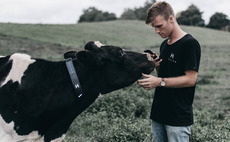 Deal focus: Cattle herding enters the app age