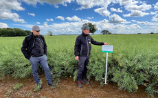 Breeders back resilient genetics as OSR confidence returns