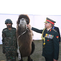 Army Chief Upendra Dwivedi honours animal warriors for exceptional service in harsh terrains