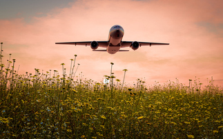 Green aviation: Government clears £219m Low Carbon Fuels Fund for take-off