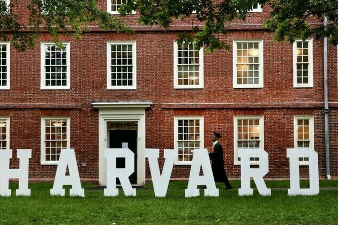Drag queen professor to teach queer ethnography at Harvard