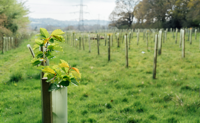 'Quality isn't binary': BeZero Carbon publishes claims methodology for carbon credit buyers