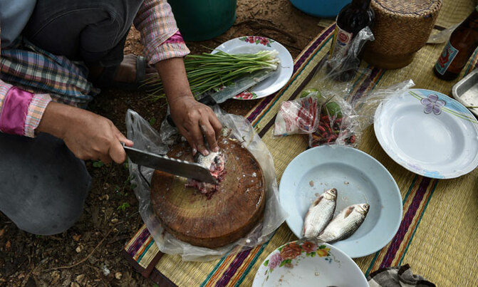 Deadly meal: The cancer-causing fish dish Deadly meal: The cancer-causing fish dish