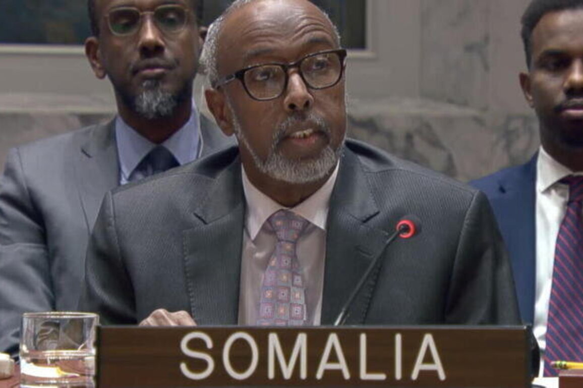 UN ambassadors condemn Israel's recognition of Somaliland