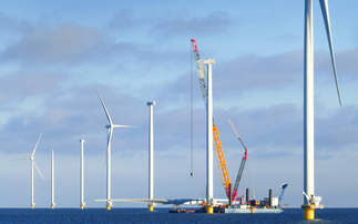 'Clown car economics': Reform rows back on threat to 'strike down' clean power contracts