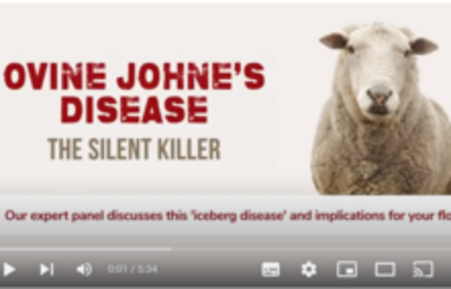 Johnes disease: How do you know if you have the disease in your flock?