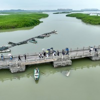 ChineseToday | Guardian protects mangrove forests in southeast China