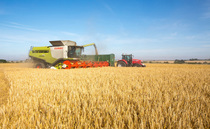 UK harvest remains challenging despite modest improvements from northern crops