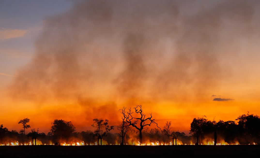 Credit: Shutterstock /frank60