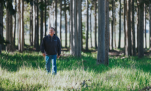  AFPA welcomed the paper, which it said builds on its advocacy both in Australia and at COP27, when it partnered with the NFF to showcase Mark Wootton (pictured) and the significant role his production trees played in achieving carbon neutrality for Jigsaw Farms. Photo credit: AFPA. 