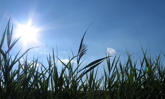 Five-year period ending 2019 set to be hottest on record Five-year period ending 2019 set to be hottest on record
