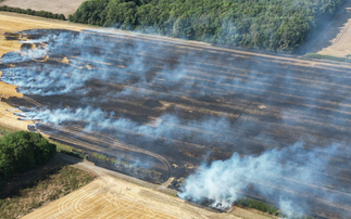 'Climate change is upon us': Tesco and Aldi join 100 leaders in demanding action to strengthen UK food security