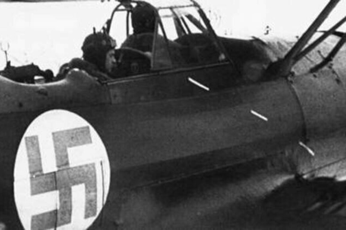 NATO country to scrap swastika - media