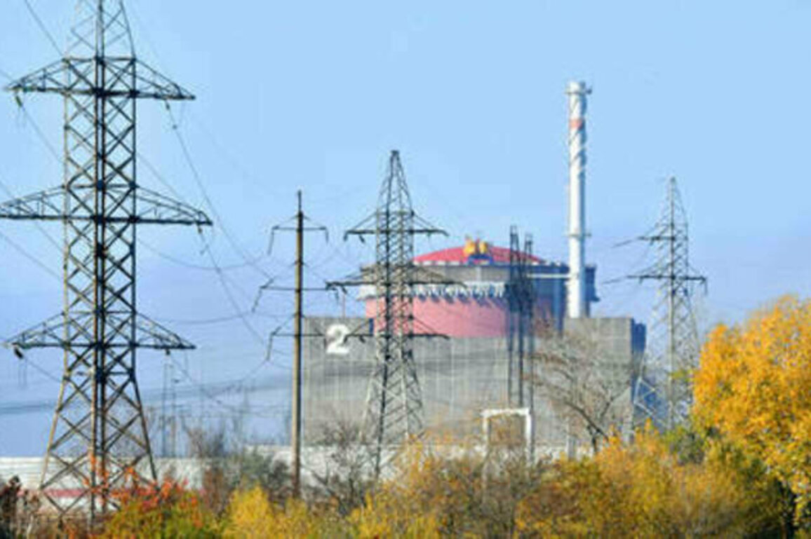 Power restored to Europe's largest nuclear power plant