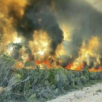 Most of Australia's conservation efforts ignore climate risks - here are 3 fixes