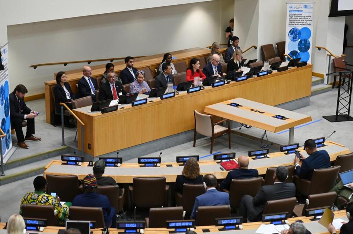 Roundup: UN holds high-level meeting on noncommunicable diseases