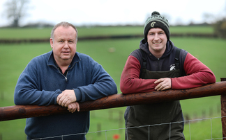 Females are the foundation of the Thornbury flock  