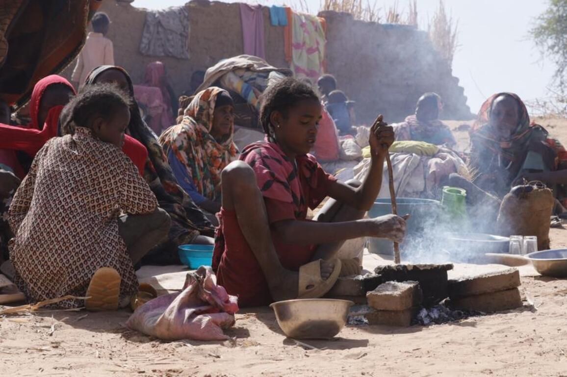 Sudan's El Fasher suffers intense fighting, severe humanitarian conditions