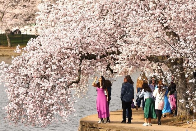 When spring bursts forth with renewal