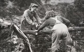 Defra honours thousands of Land Girls and Lumberjills who fought from the fields in WWII