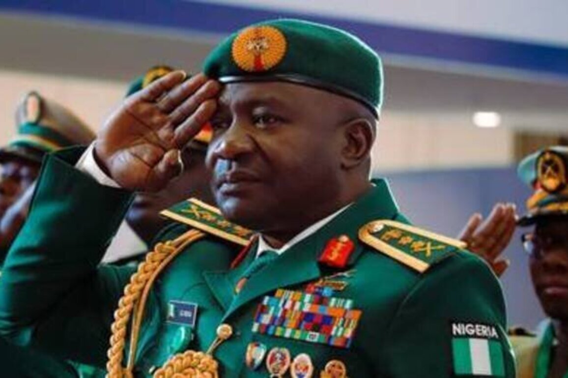 Negotiating with terrorists is 'unacceptable' - Nigerian defense minister