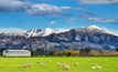 New Zealand's coalition is working on reinstating the live export trade, as the Australian Senate debates the fate of live sheep exports from Australia. Credit: Dmitry Pichugin, Shutterstock.