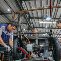 CHINA-SICHUAN-MEISHAN-ELECTRIC TRICYCLES-OVERSEAS MARKET (CN)