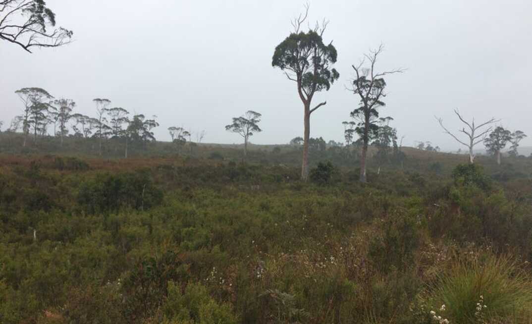 Heemskirk Road, Zeehan, Tasmania.