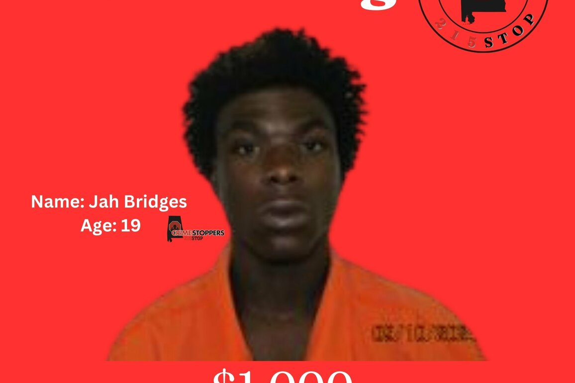 Search underway for attempted murder suspect in Wilcox County - WAKA 8