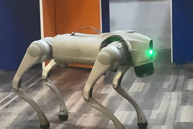 Coimbatore engineers develop AI-powered dog robot for multi-tasking