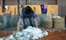 Queensland and Victoria are leading the way when it comes to producing non-mulesed wool. 