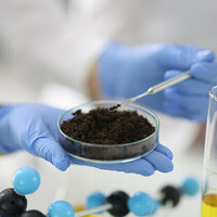 Scientific study reveals promising prospects for sustainable agriculture in UAE