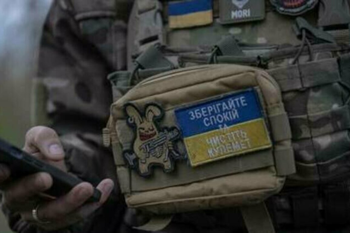 'No sense' in placing Western troops in Ukraine - Putin