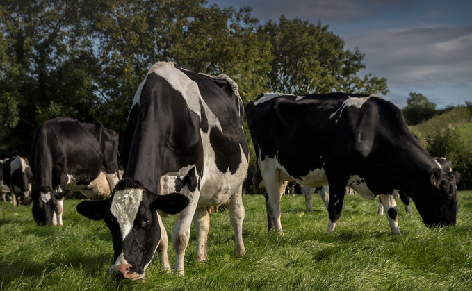 January 13: Farming in Five: Efra committee inquiry on animal and plant health follows confirmed case of foot-and-mouth disease in Germany