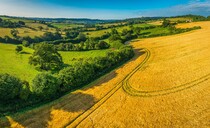 Almost 80% of farmers accept CS extensions