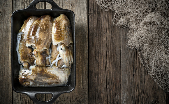 Squid fishing has surged over the past 70 years | Credit: iStock Squid fishing has surged over the past 70 years | Credit: iStock